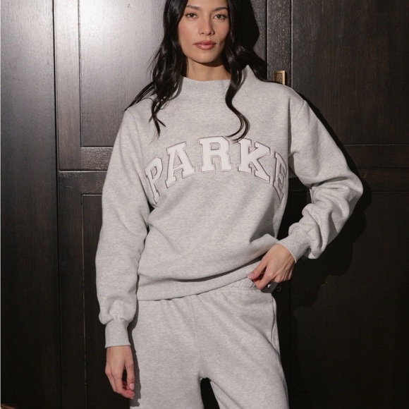 Parke Sweaters - NWT Parke Fleece Light Gray Metallic Varsity MOCKNECK Sweatshirt with Logo